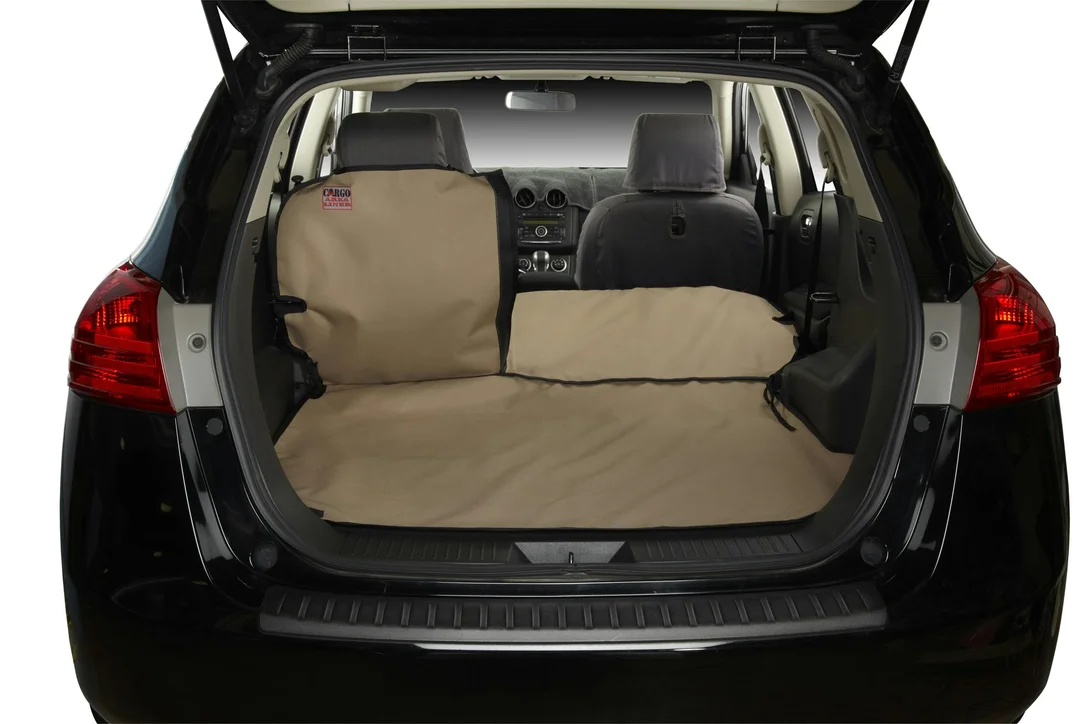 mcorautomotive-3202606242338552388371